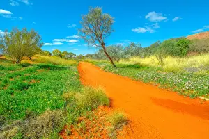 Northern Territory Prints: Dry river bed with red sand in Desert Park at Alice Springs near MacDonnell Ranges in