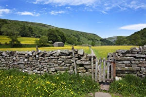 Stone Wall Prints: Dry stone wall and gate in meadow at Muker