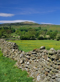 Swaledale Prints: Dry stone wall, Swaledale, North Yorkshire, England, UK, Europe