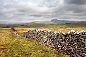 Yorkshire Prints: Dry stone wall at Winskill Stones with Pen Y Ghent beyond