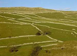 Malham Prints: Dry stone walls above Malham, Yorkshire Dales National Park, Yorkshire