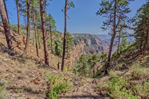 Pine Prints: Dry Waterfall on the north end of Clear Creek Canyon at Grand Canyon North Rim Arizona