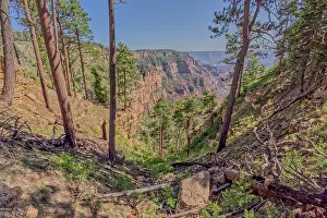 States Prints: Dry Waterfall on the north end of Clear Creek Canyon at Grand Canyon North Rim Arizona