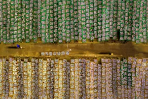 Fisherman Prints: Drying fish in Vung Tau, Vietnam, Indochina, Southeast Asia, Asia