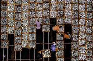 Fishermen Prints: Drying fish in Vung Tau, Vietnam, Indochina, Southeast Asia, Asia