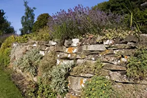 Drystone wall, Grassington, Yorkshire Dales National Park, North Yorkshire