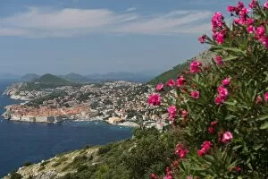 Dubrovnik Gallery: Dubrovnik and islands, Croatia, Europe