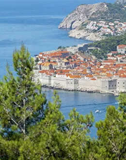 Dubrovnik Gallery: Dubrovnik Old Town, UNESCO World Heritage Site, Dalmatia, Croatia, Europe