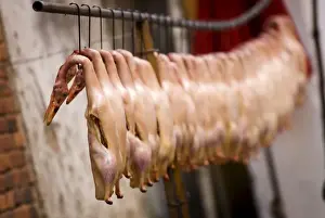 Poultry Prints: Ducks hanging before being cooked, Kunming, Yunnan, China, Asia