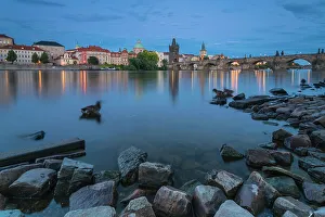 Mala Strana Prints: Ducks in Vltava river near Charles Bridge at twilight