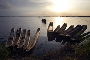 Stationary Prints: Dugout canoes (pirogues) on the Congo River, Yangambi, Democratic Republic of Congo
