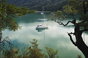 Inlet Prints: Duncan Bay, Tennyson Inlet, Marlborough Sounds, Marlborough, South Island