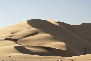 Images Dated 30th December 2008: Dune 7, Walvis Bay, Namibia, Africa