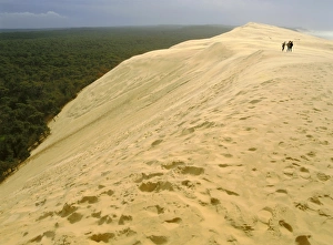 Foot Print Prints: Dune du Pilat, Gironde, Aquitaine, France, Europe
