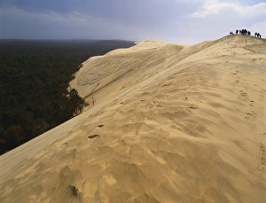 Dune de Pilat, Gironde, Aquitaine, France