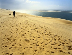Footprint Prints: Dune de Pilat, Gironde, Aquitaine, France