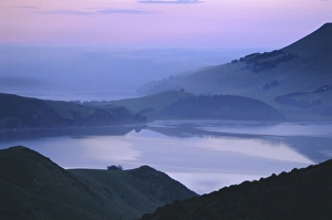 Dunedin Prints: Dunedin area