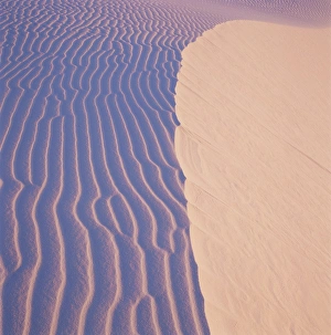 Dunes Prints: Dunes at dawn