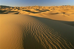 Dunes of the Erg Chebbi