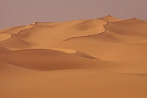 In the dunes of the erg of Murzuk in the Fezzan desert, Libya, North Africa, Africa