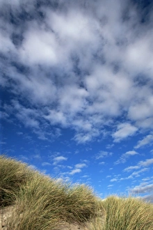 Dramatic Skies Prints: Dunes and grasses