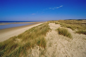 Deserted Prints: Dunes at Hardelot Plage, near Boulogne, Pas-de-Calais, France, Europe