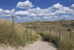 Dunes, Le Touquet, Nord Pas de Calais, France, Europe