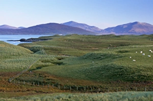 South Harris Prints: Dunes and machair