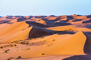 Vast Prints: Dunes in the Sharqiya Sands, formerly Wahiba Sands