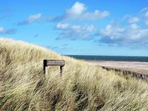 Sand Dune Prints: Dunes at the West Sands in St. Andrews, Fife, Scotland, United Kingdom, Europe