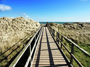 Boardwalk Prints: Dunes at the West Sands in St. Andrews, Fife, Scotland, United Kingdom, Europe