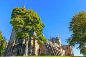 United Prints: Dunfermline Abbey stands under a clear blue sky with trees surrounding its historic structure in Dunfermline