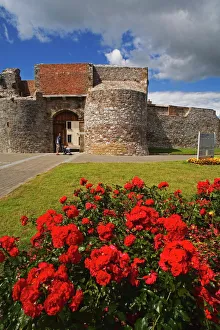 Castles Prints: Dungarvan Castle, County Waterford, Munster, Republic of Ireland, Europe