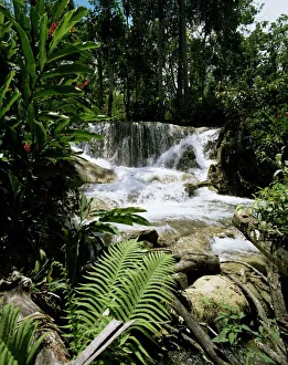 Fall Prints: Dunns River Falls