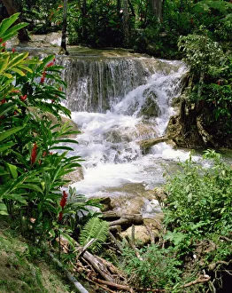 Water Fall Prints: Dunns River Falls