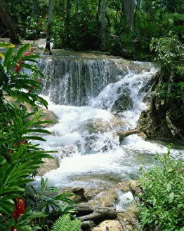 Water Fall Prints: Dunns River Falls