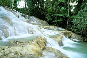 Fall Prints: Dunns River Falls