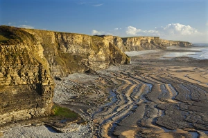 Dunraven Bay, Southerdown, Vale of Glamorgan, Wales, United Kingdom, Europe