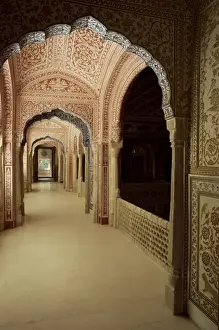 Rajput Prints: Duo tone intricately hand painted hallway running parallel