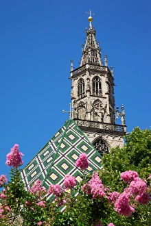 Duomo, Walther Platz, Bolzano, Bolzano Province, Trentinto-Alto Adige, Italy, Europe