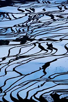 Blue Colour Prints: Duoyishu Rice Terraces at dawn, UNESCO World Heritage Site, Yuanyang, Yunnan Province