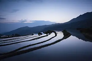 Duoyishu Rice Terraces at dawn, UNESCO World Heritage Site, Yuanyang, Yunnan Province