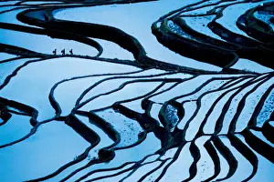 Duoyishu Rice Terraces at dawn, UNESCO World Heritage Site, Yuanyang, Yunnan Province
