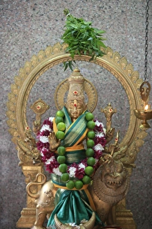 Images Dated 17th February 2006: Durga, Kuala Lumpur, Malaysia, Southeast Asia, Asia