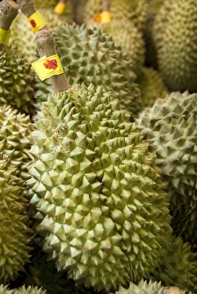 Hong Kong Prints: Durian for sale, Mong Kok, Hong Kong, China, Asia