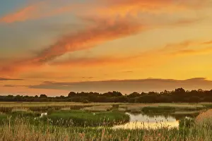 Wetlands Prints: Dusk over the marshes at Ham Wall Nature Reserve offers a view of water
