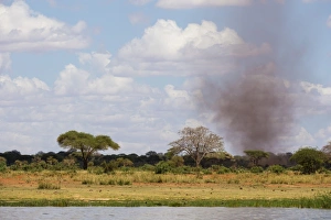 Tsavo Prints: A dust tornado (dust devil), Tsavo, Kenya, East Africa, Africa