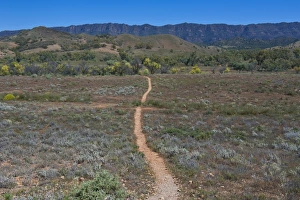 Images Dated 17th October 2008: Dusty road leading in the Flinders National Park, South Australia, Australia, Pacific