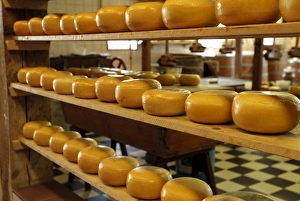 Images Dated 5th January 2000: Dutch cheese