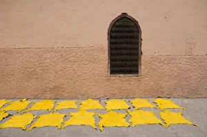 Animal Hide Prints: Dyed leather hides drying in street in the souk